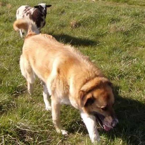 You're My Best Friend Image